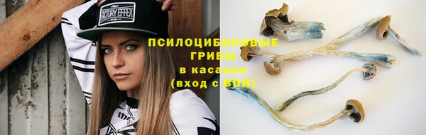 наркотики Белокуриха