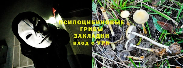 наркотики Белокуриха