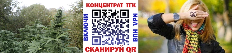 Дистиллят ТГК концентрат  как найти   Свободный 