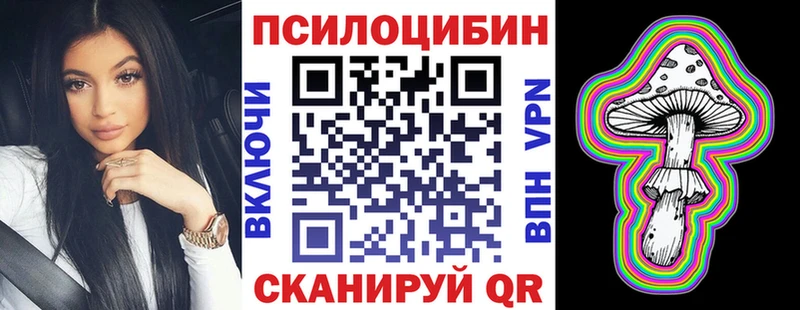 Псилоцибиновые грибы Psilocybine cubensis  где купить наркотик  Свободный 