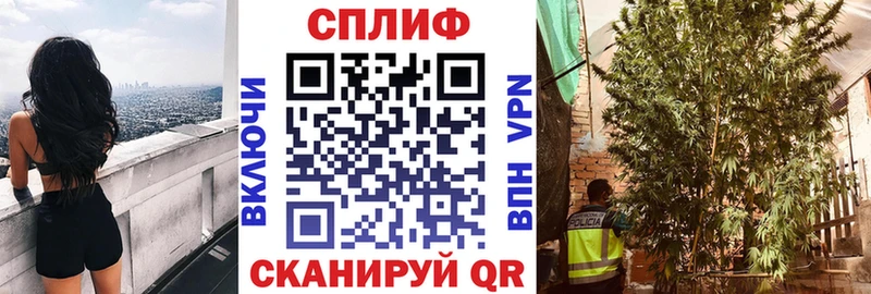 Канабис конопля  наркошоп  Свободный 